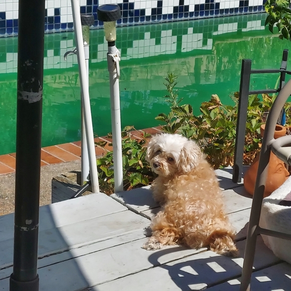 Meet your Posher, Nan kc - Picture 6 of 12